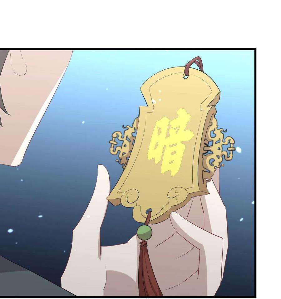 本剑仙绝不吃软饭303话 暗卫令牌