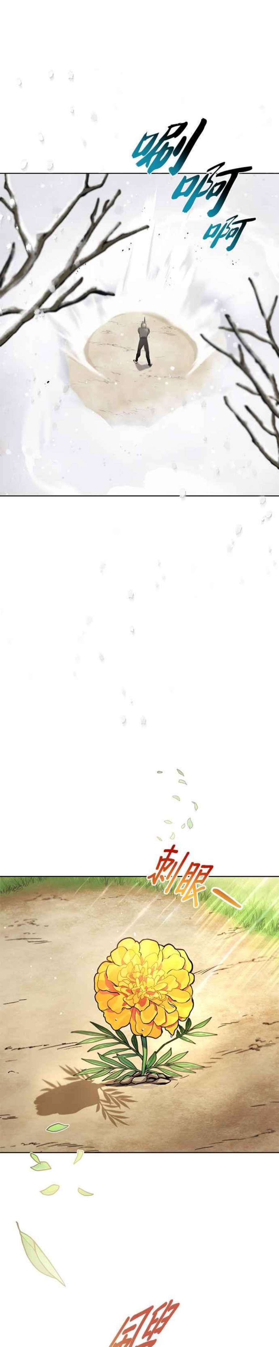懒惰公子成长记29话