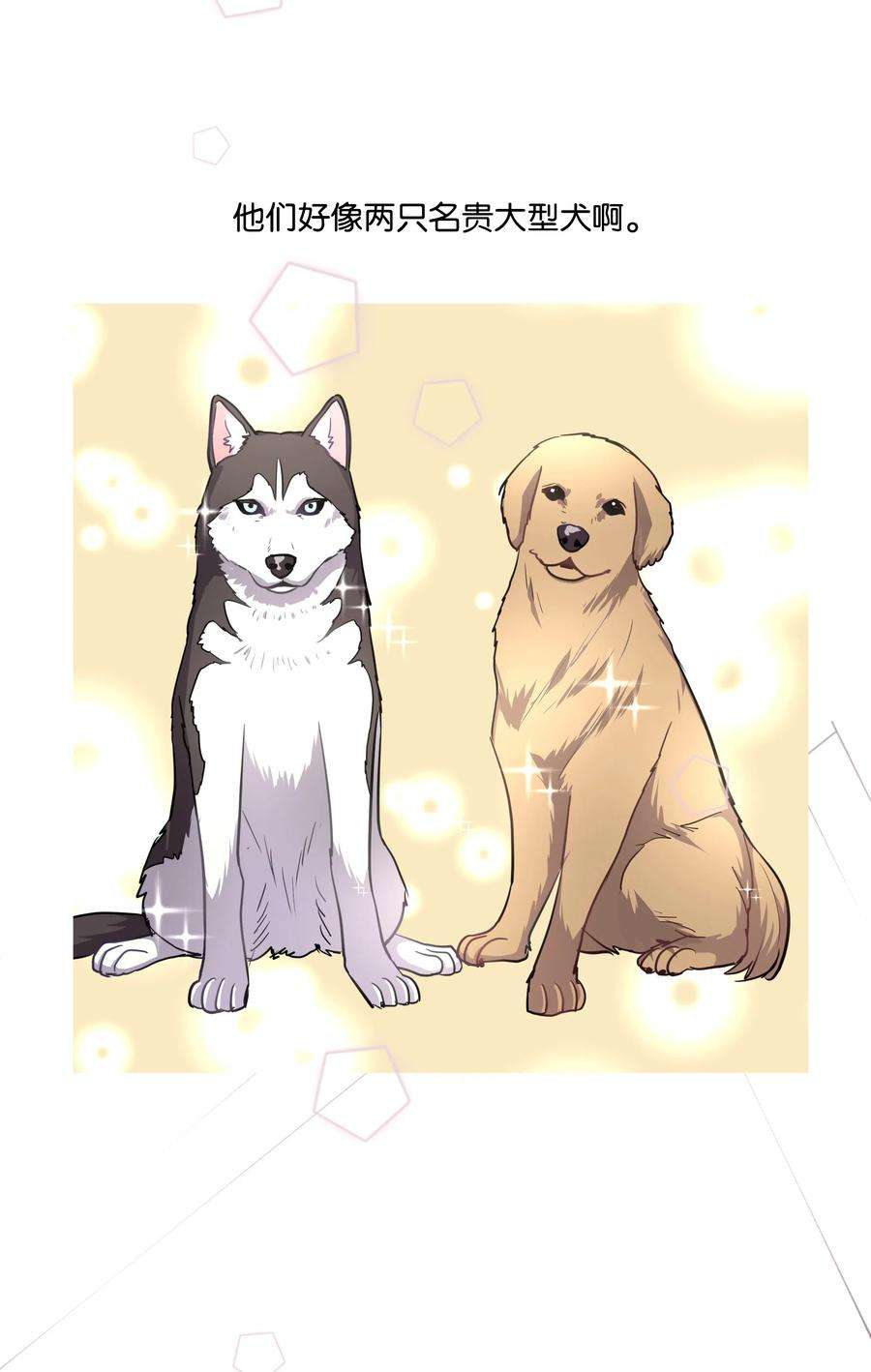 重生成为白富美的我套路多26 名犬之战