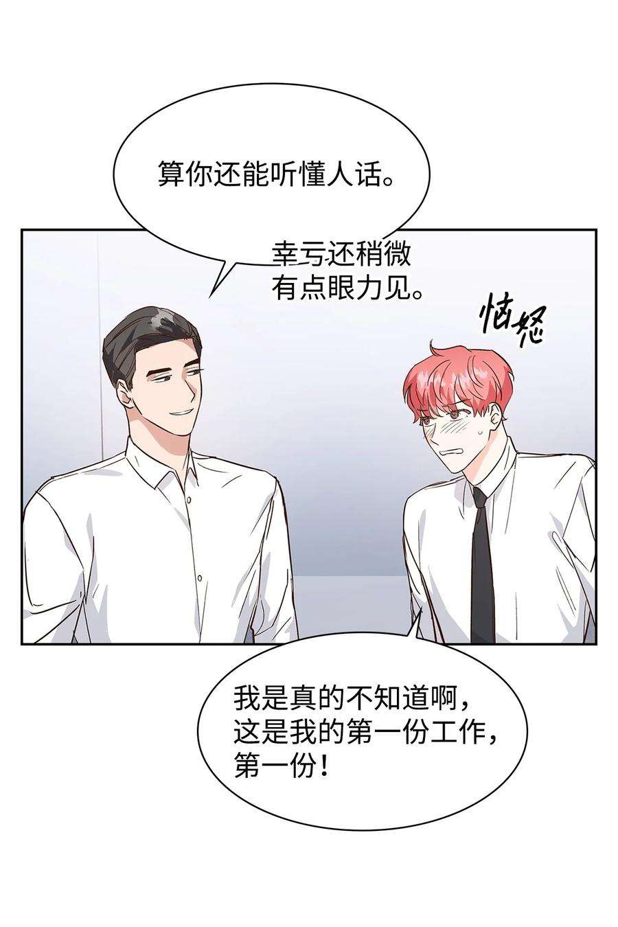 逃离计划-Undercover Partners65 工作失误