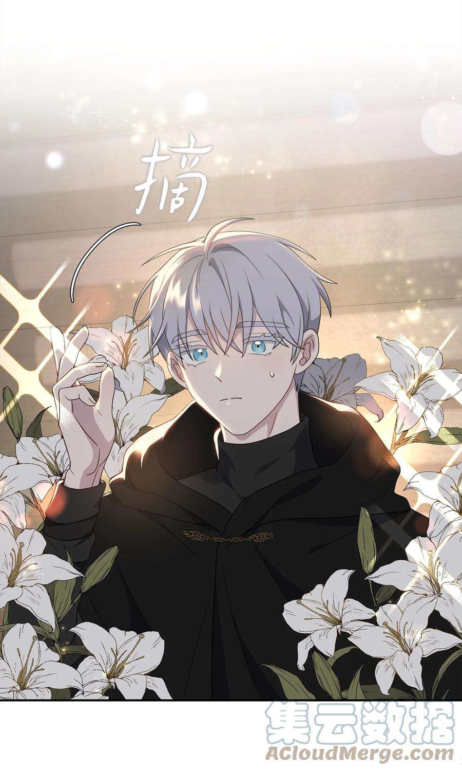 双面皇女13 卡尔特的心脏