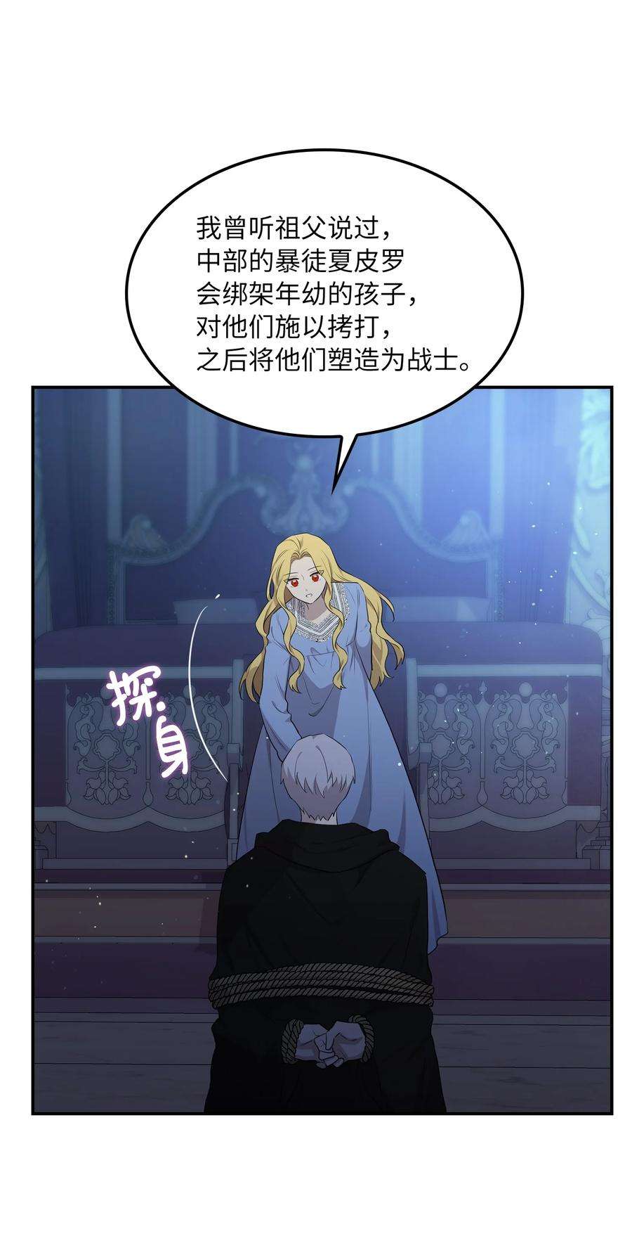 双面皇女04 夏皮罗之狼