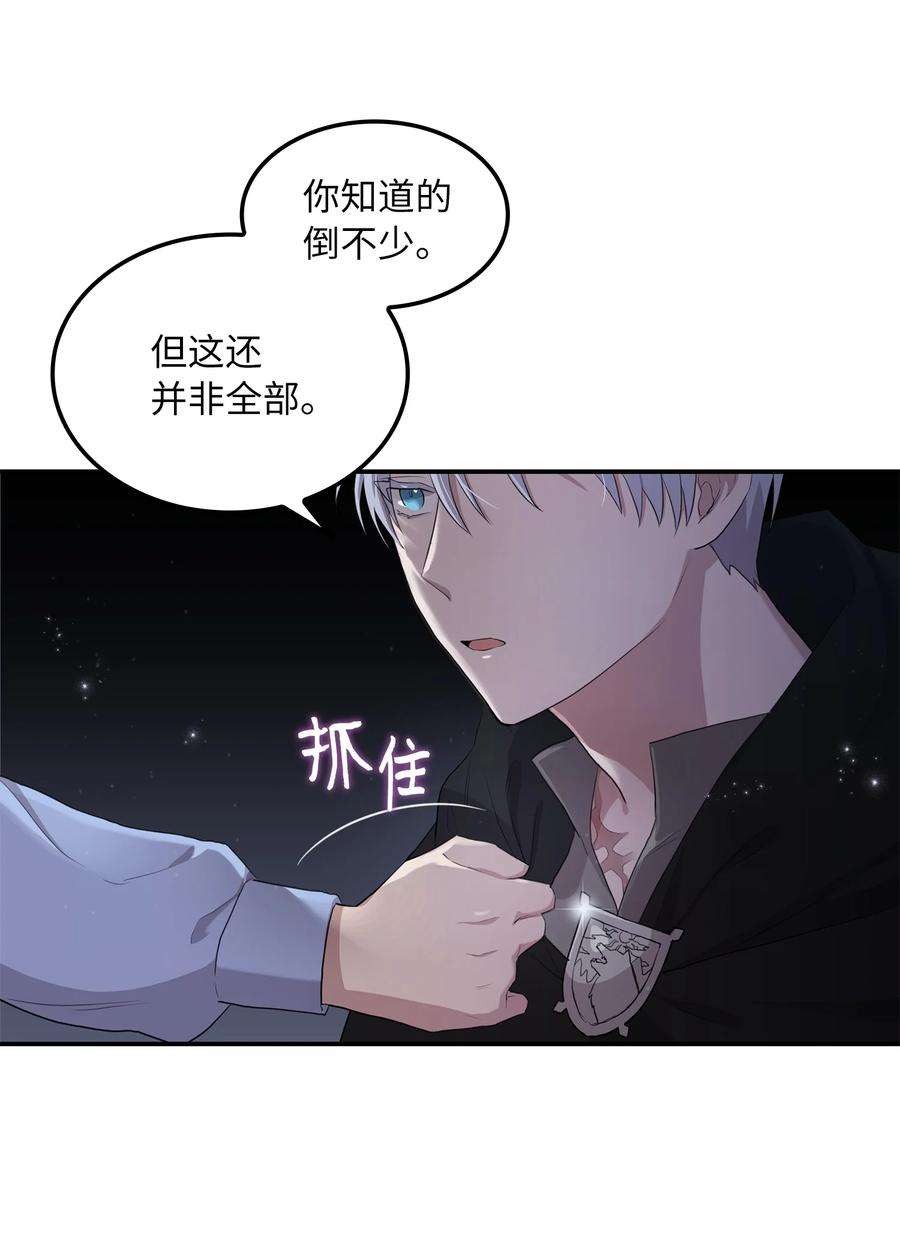 双面皇女04 夏皮罗之狼