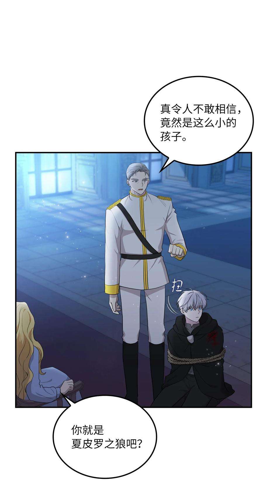双面皇女04 夏皮罗之狼