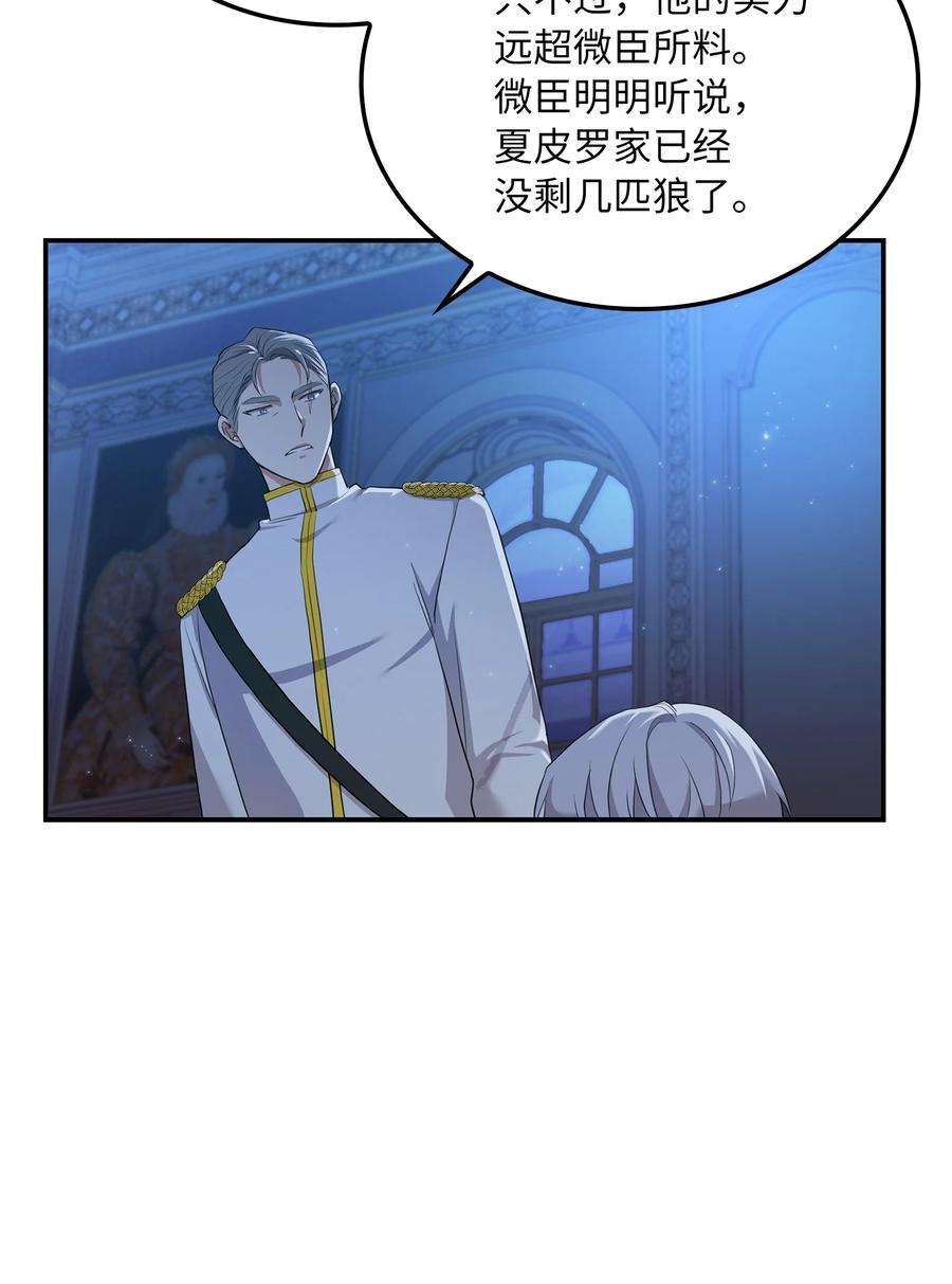 双面皇女04 夏皮罗之狼
