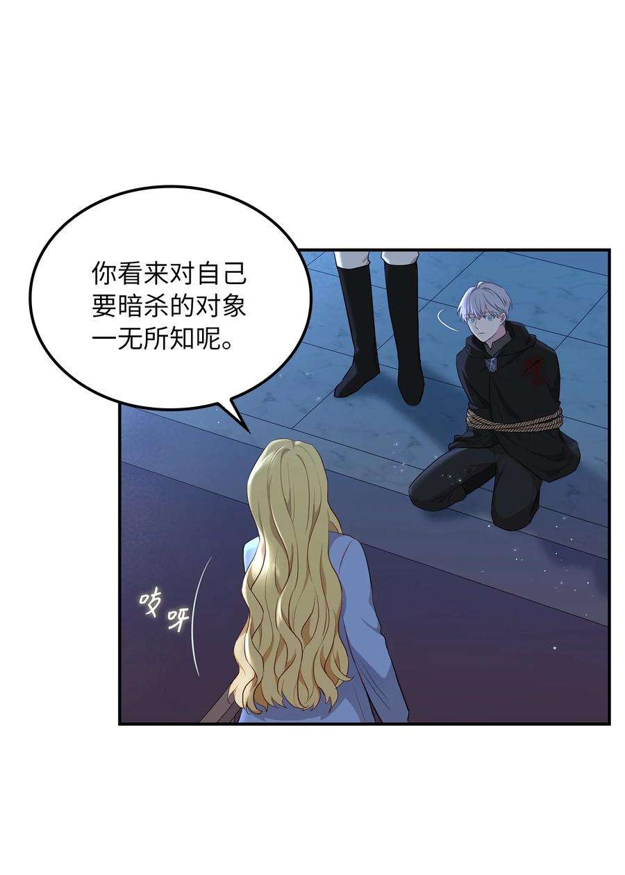 双面皇女04 夏皮罗之狼