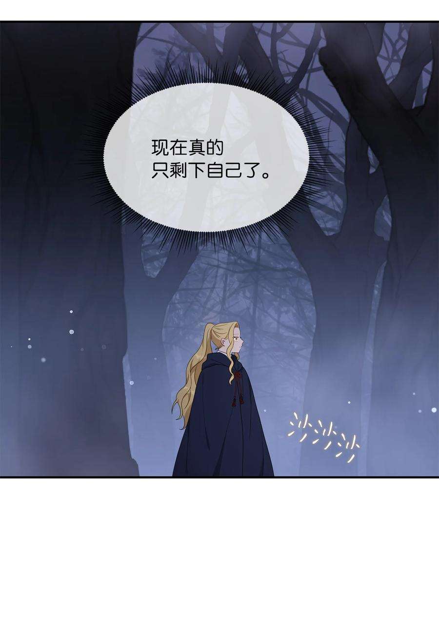 双面皇女14 遇险获救