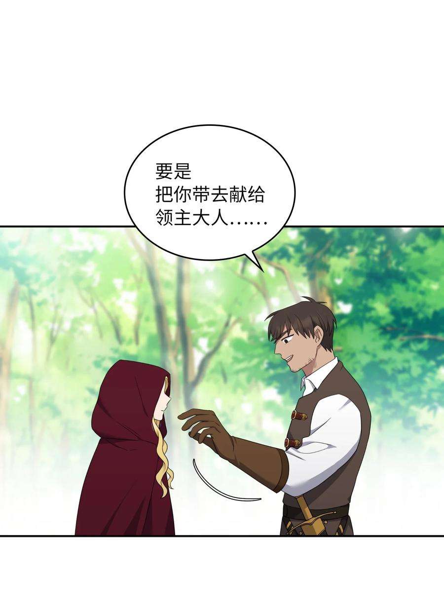 双面皇女17 真正的领主
