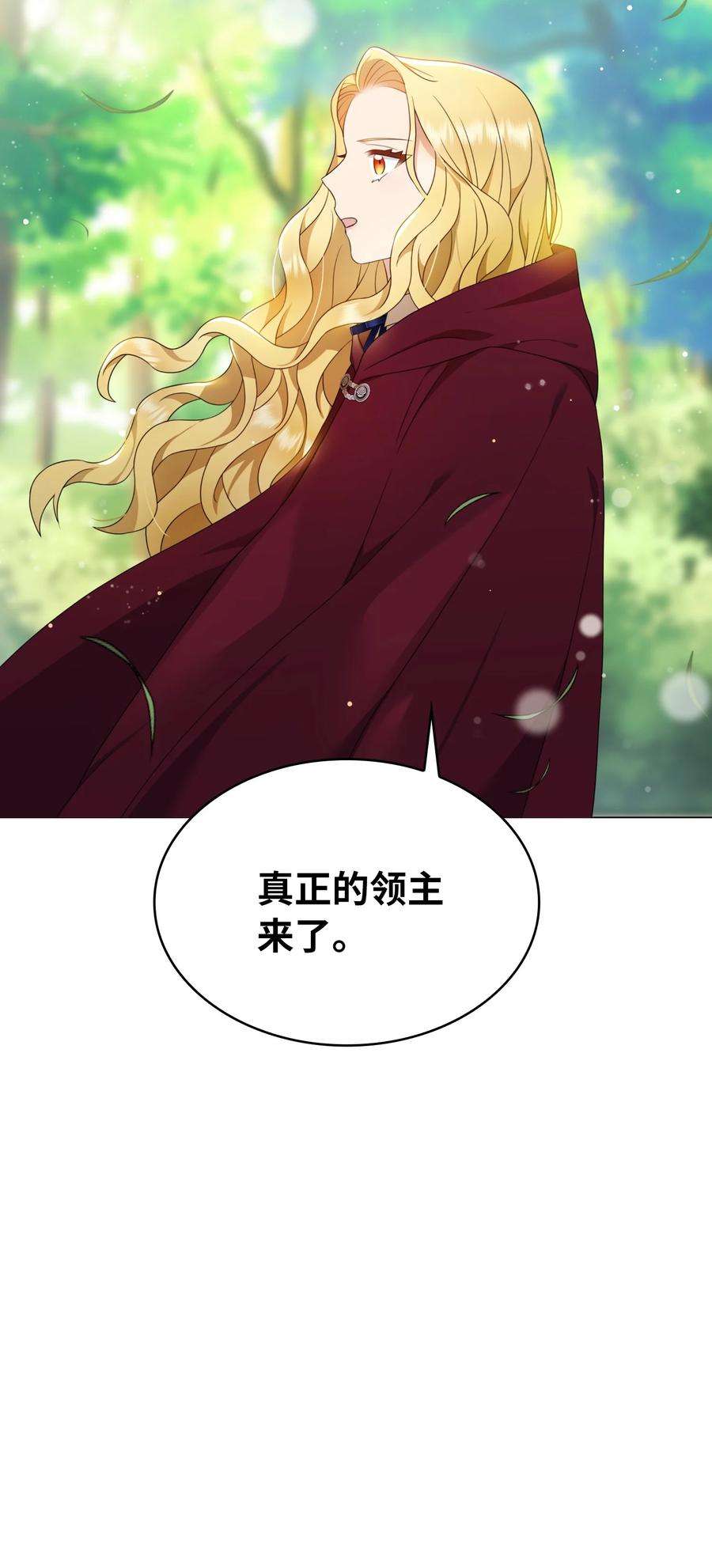 双面皇女17 真正的领主