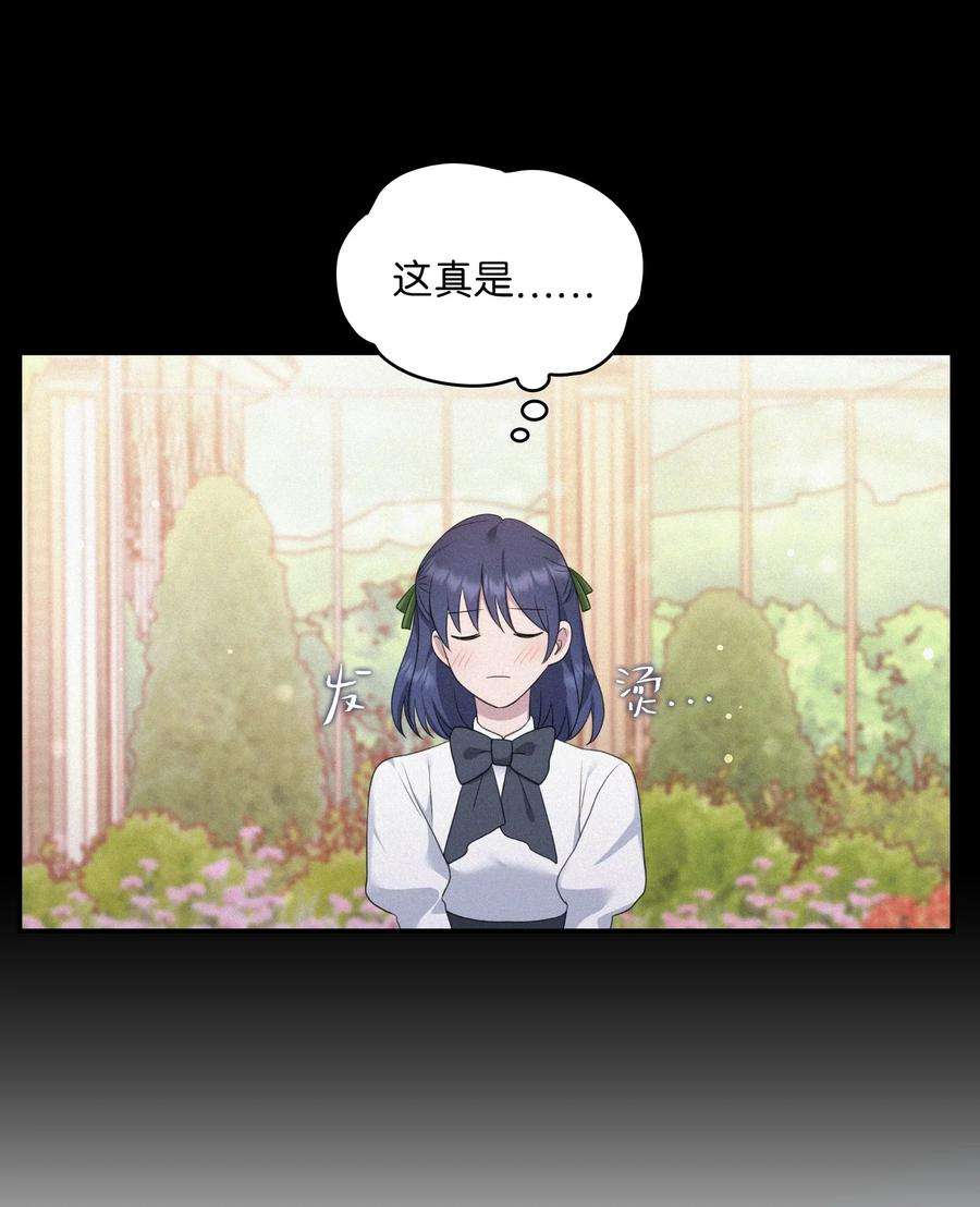 双面皇女28 开始布局