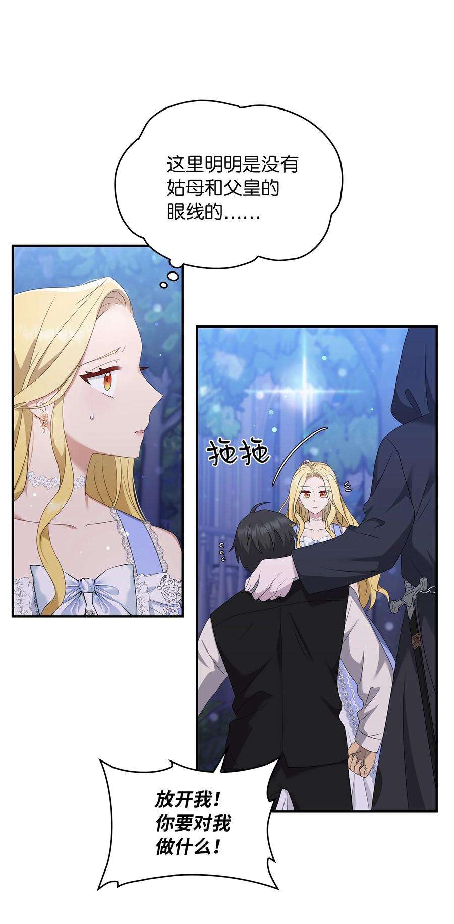 双面皇女29 病弱的大公子