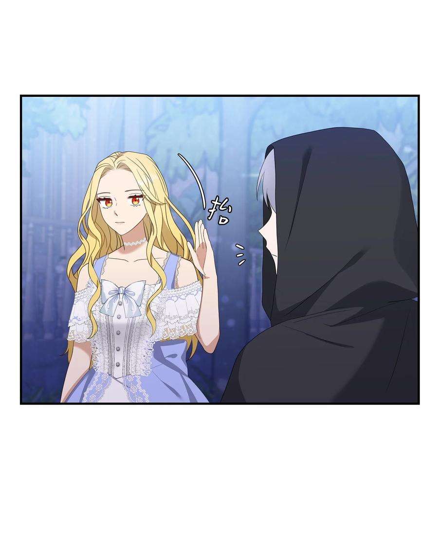 双面皇女29 病弱的大公子