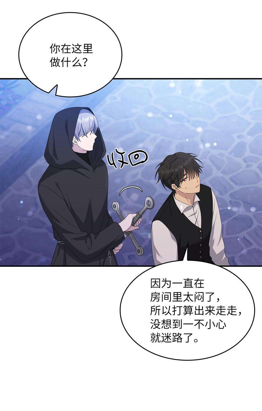 双面皇女29 病弱的大公子