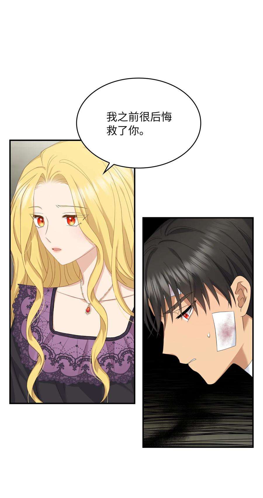 双面皇女37 绝不能忘记