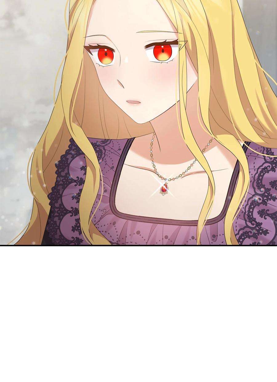 双面皇女38 正统血脉
