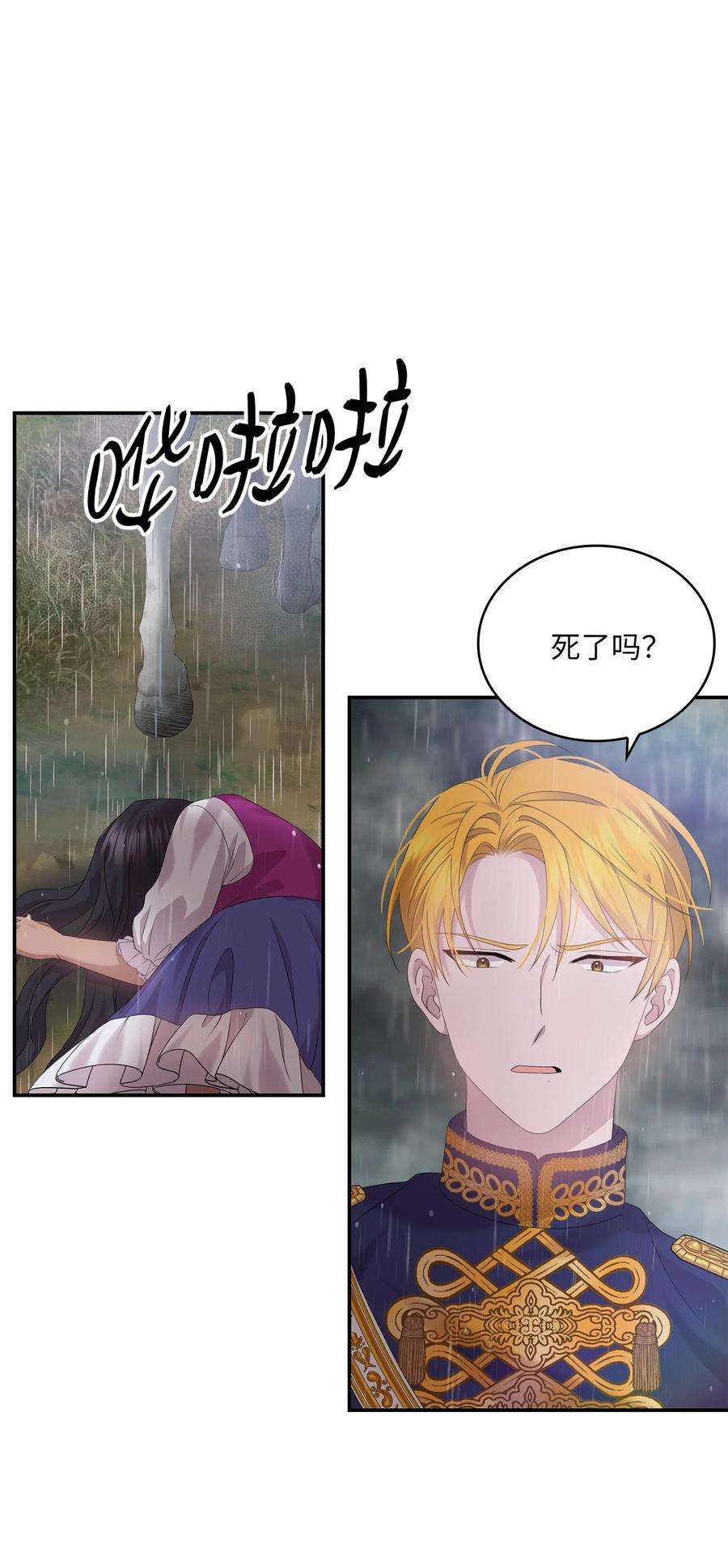 双面皇女38 正统血脉