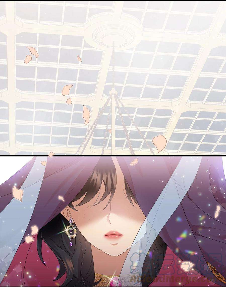 双面皇女41 生日宴