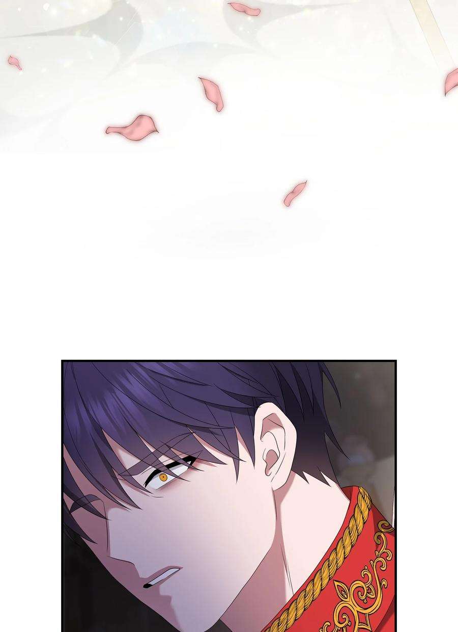 双面皇女41 生日宴
