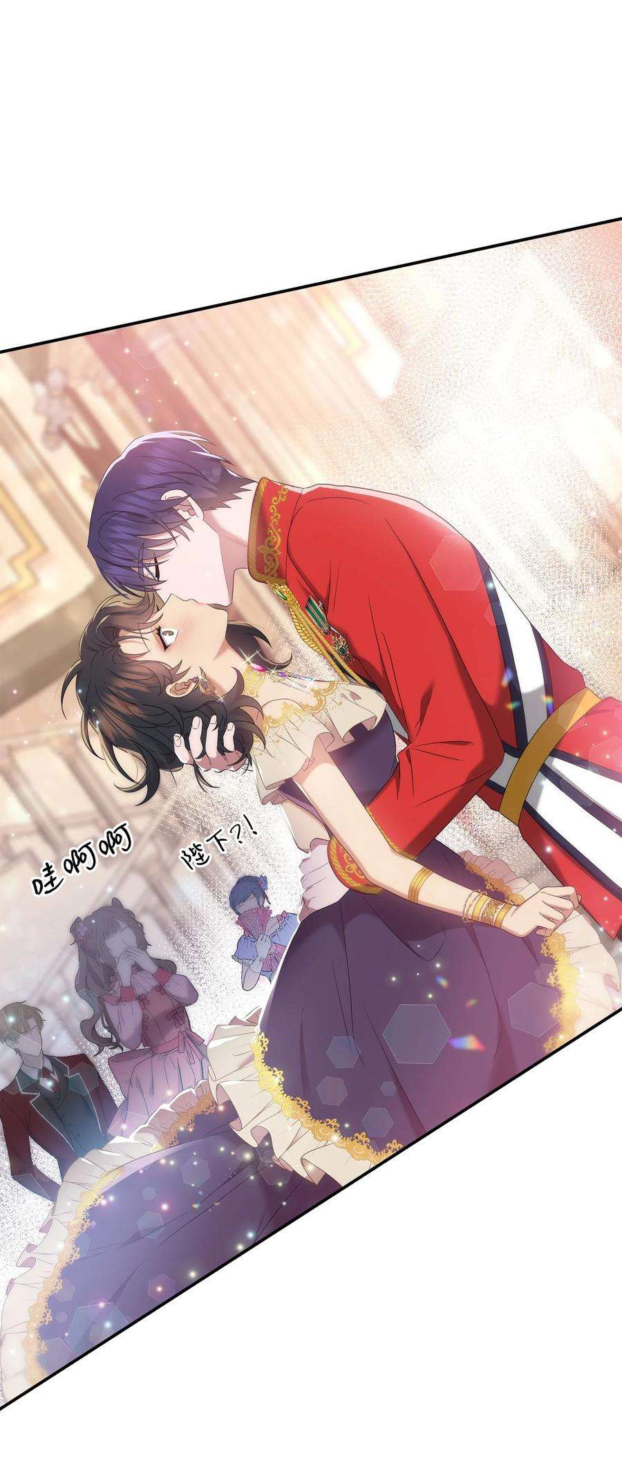 双面皇女41 生日宴