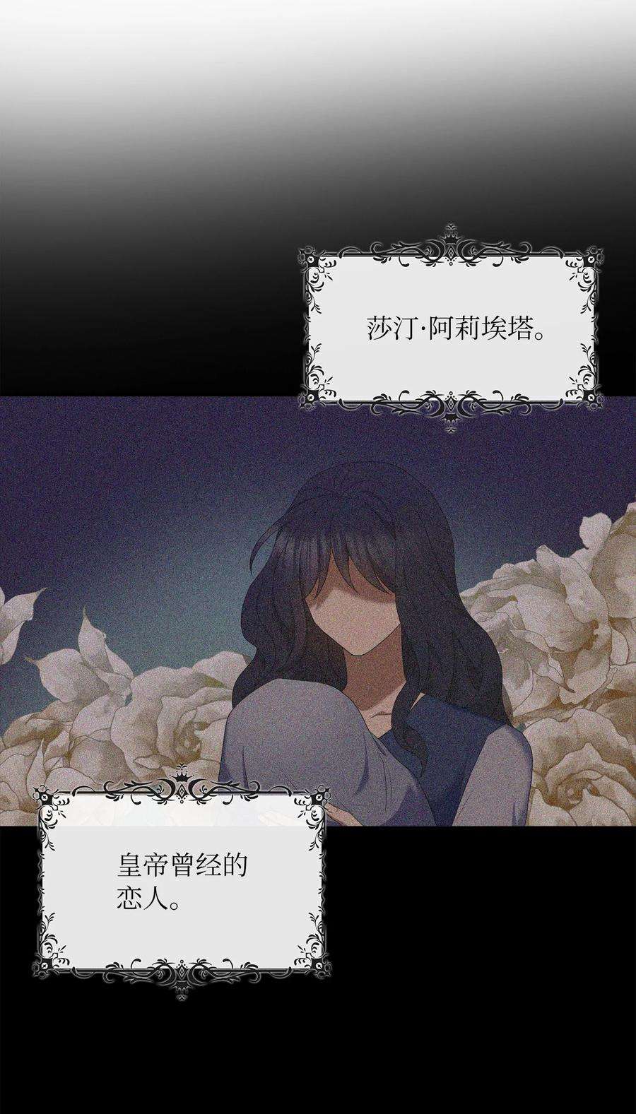 双面皇女41 生日宴