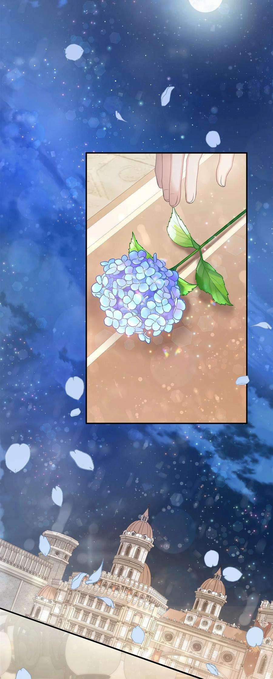 双面皇女41 生日宴