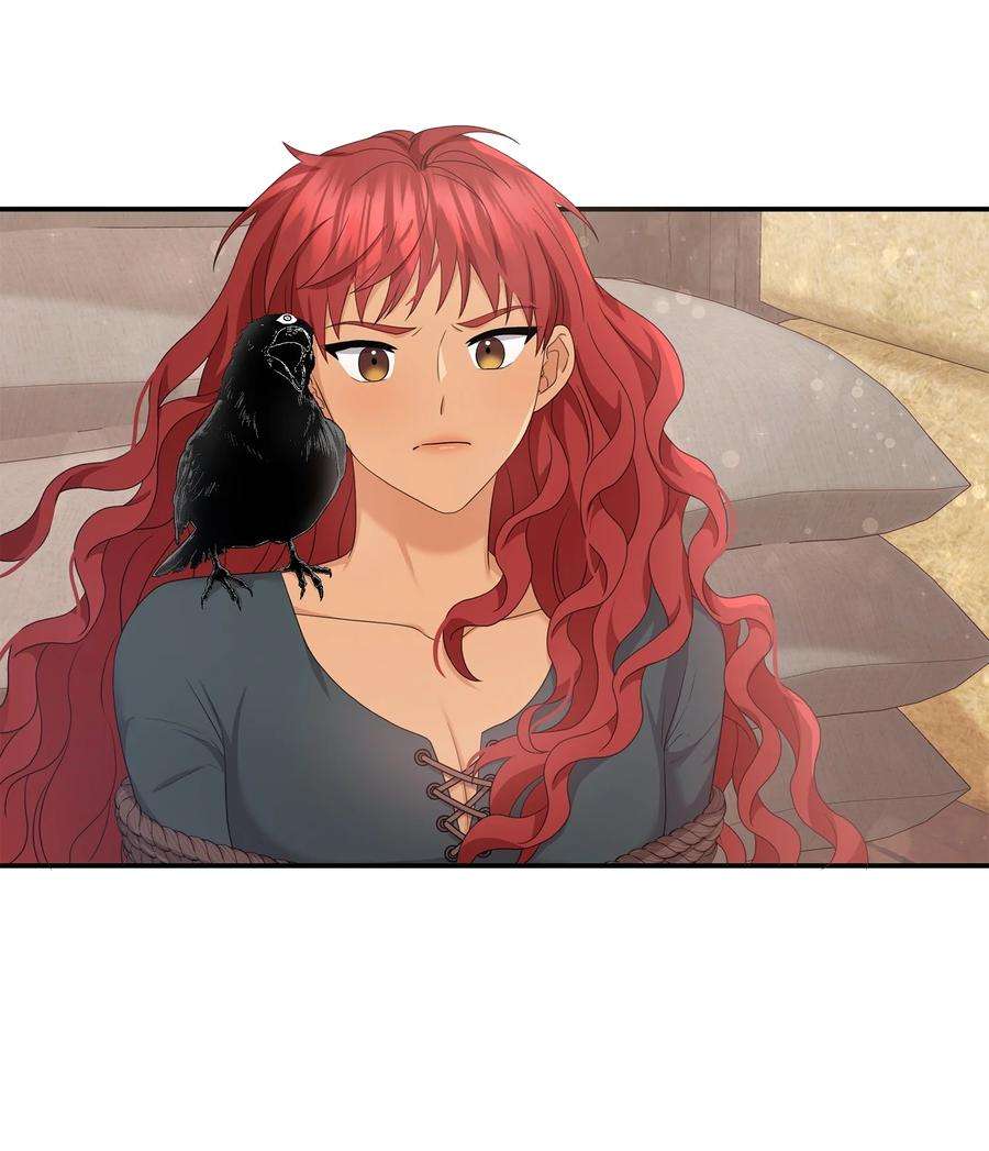 双面皇女46 古怪王女