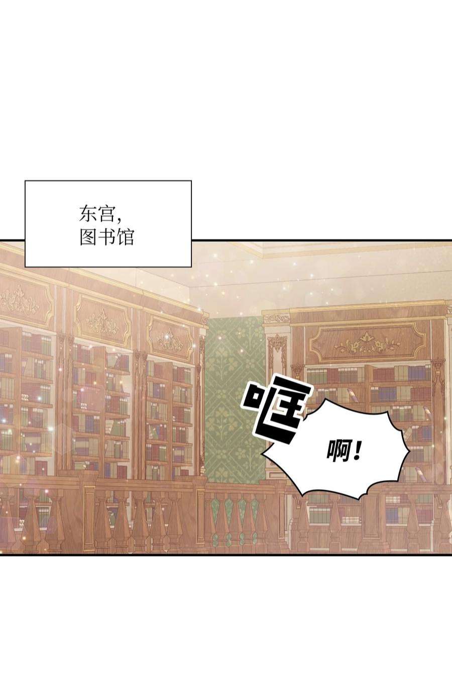 双面皇女49 交锋