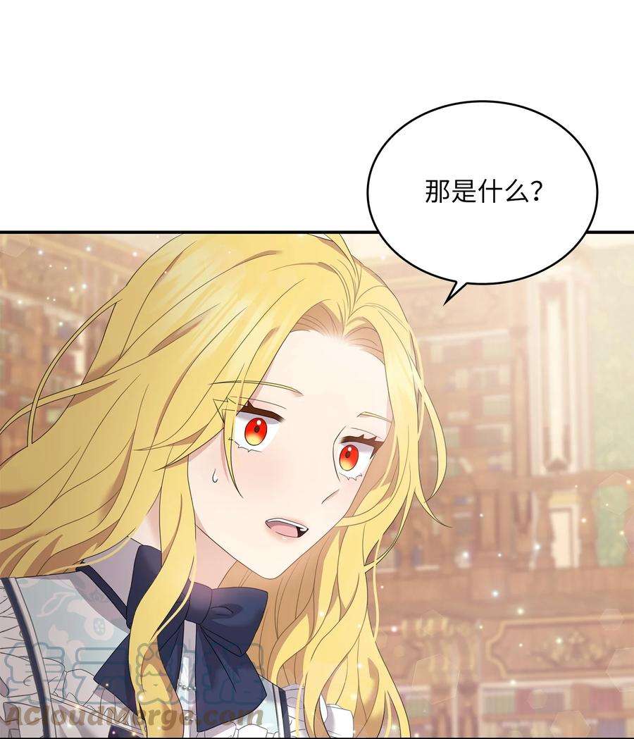 双面皇女49 交锋