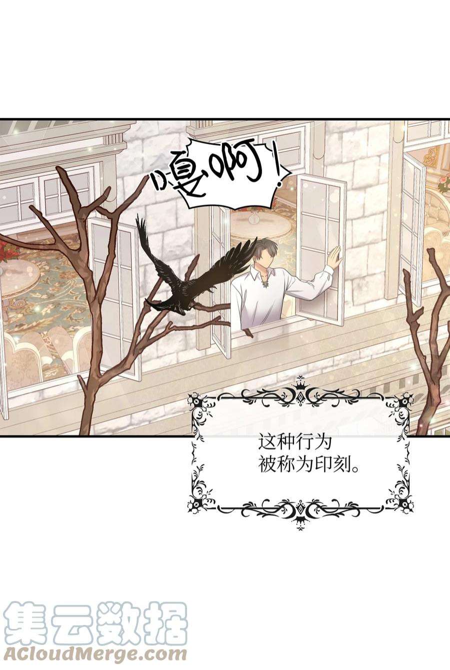 双面皇女52 形势渐明