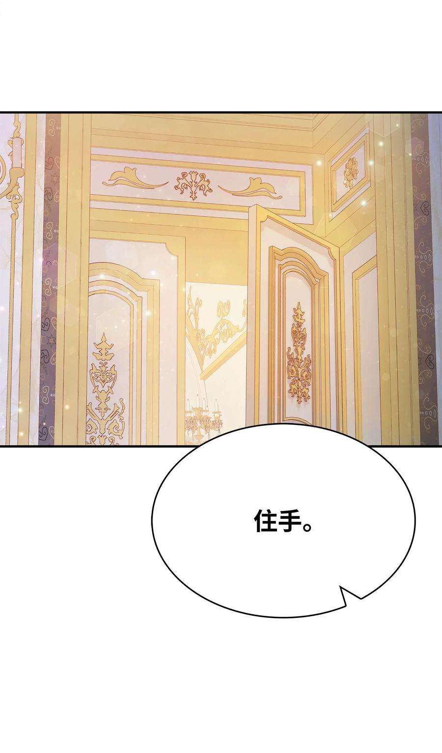 双面皇女58 伯爵的反击