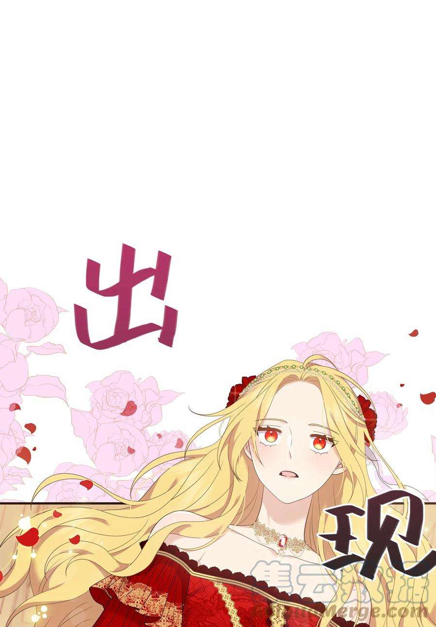 双面皇女58 伯爵的反击