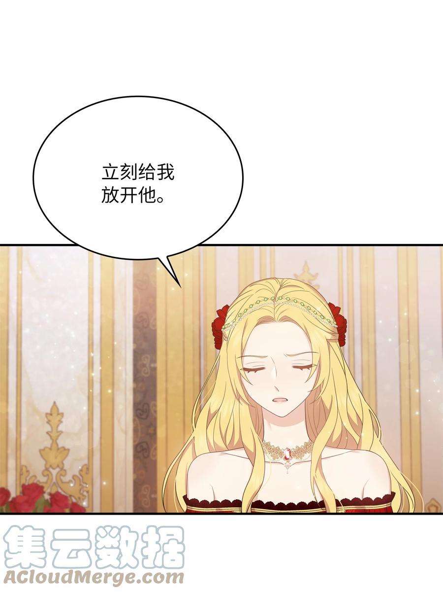 双面皇女58 伯爵的反击