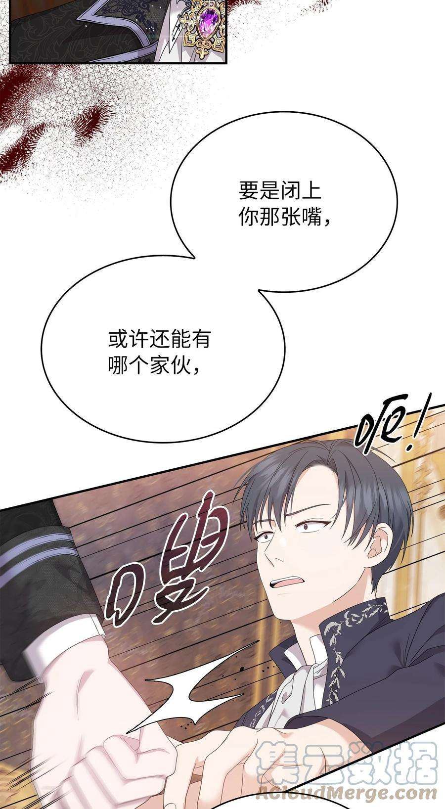 双面皇女58 伯爵的反击