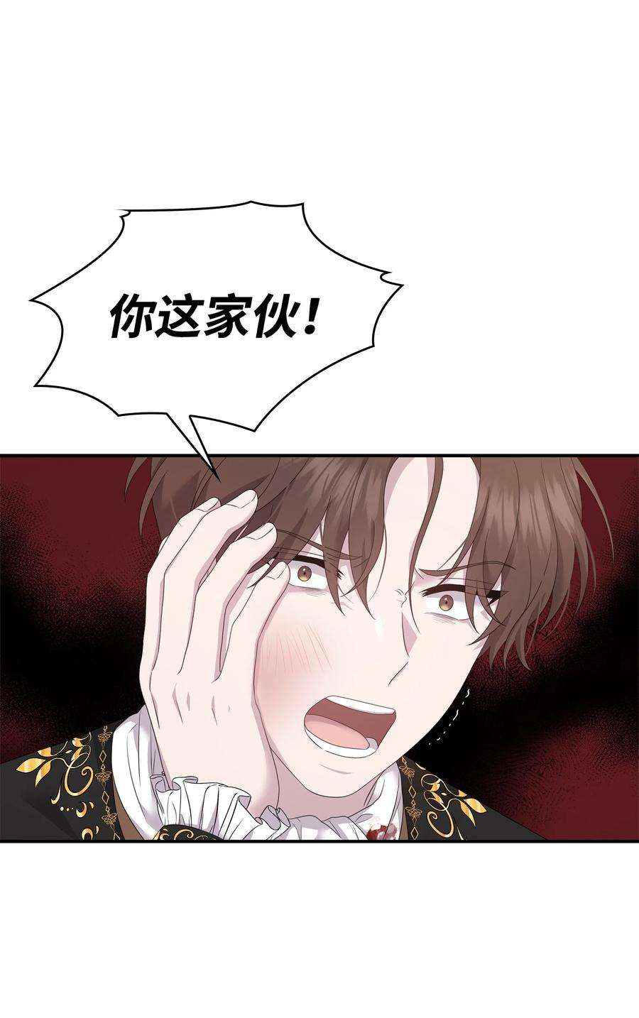 双面皇女58 伯爵的反击