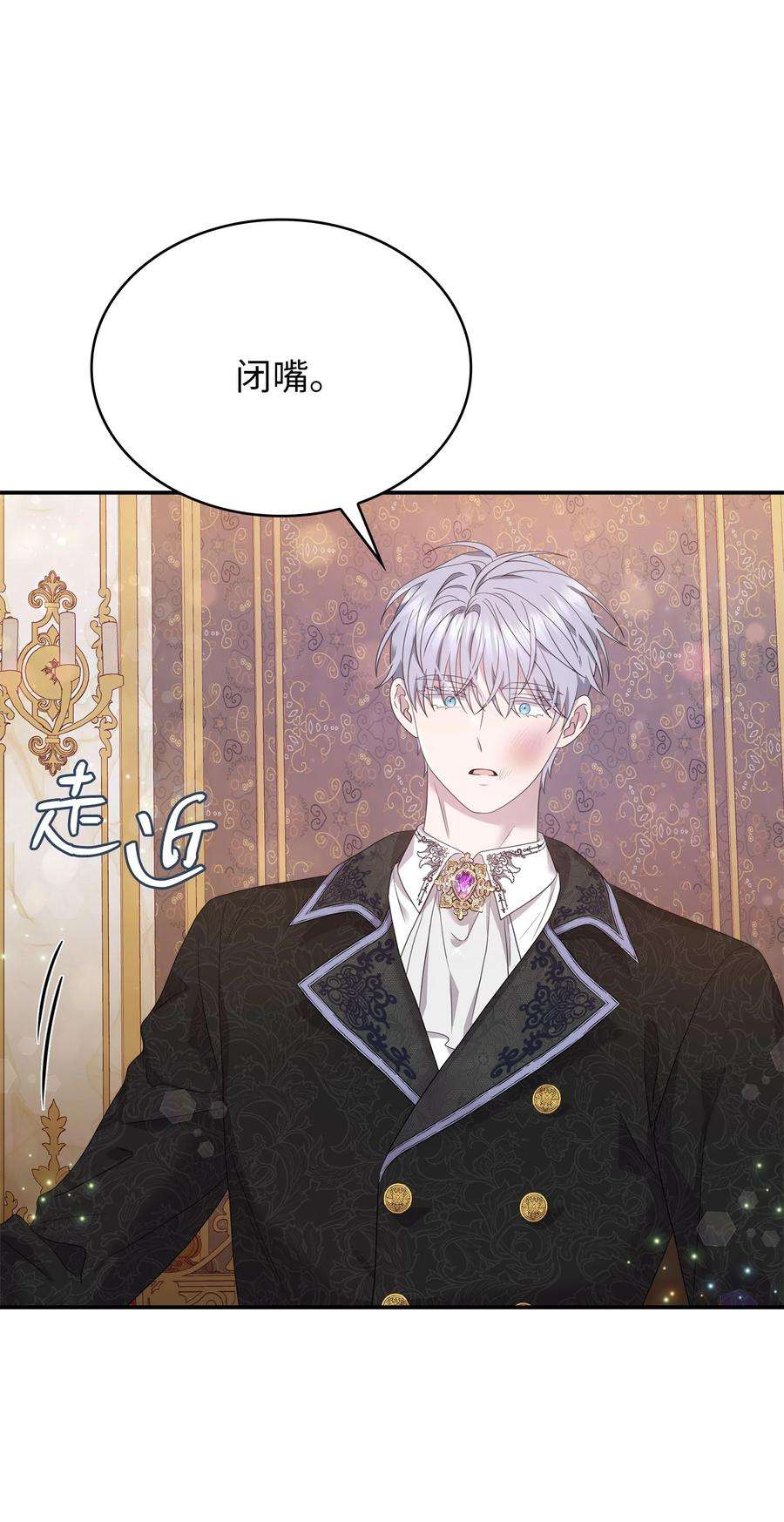 双面皇女58 伯爵的反击
