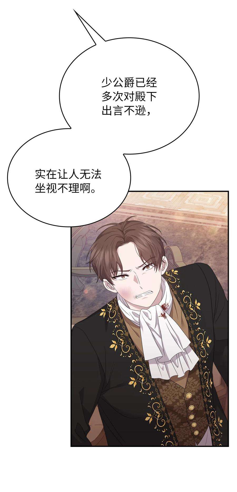 双面皇女58 伯爵的反击