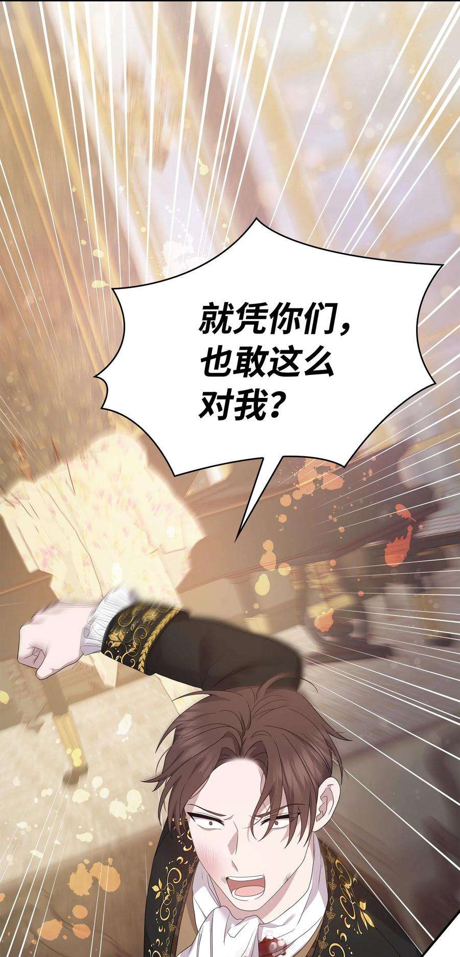 双面皇女58 伯爵的反击