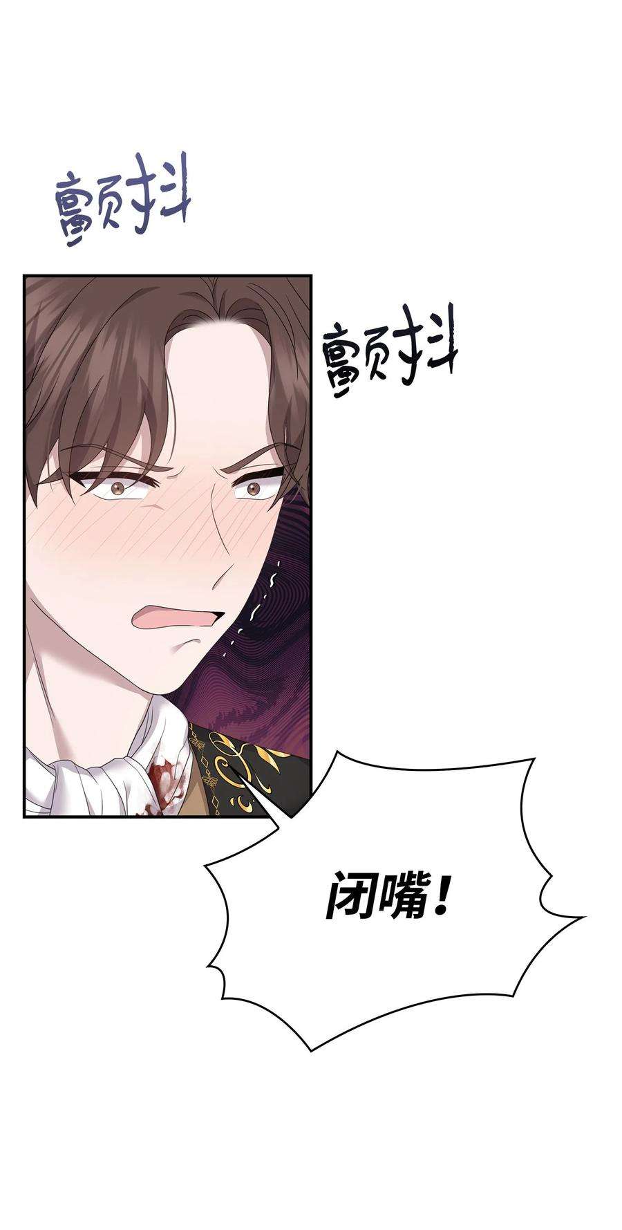 双面皇女58 伯爵的反击