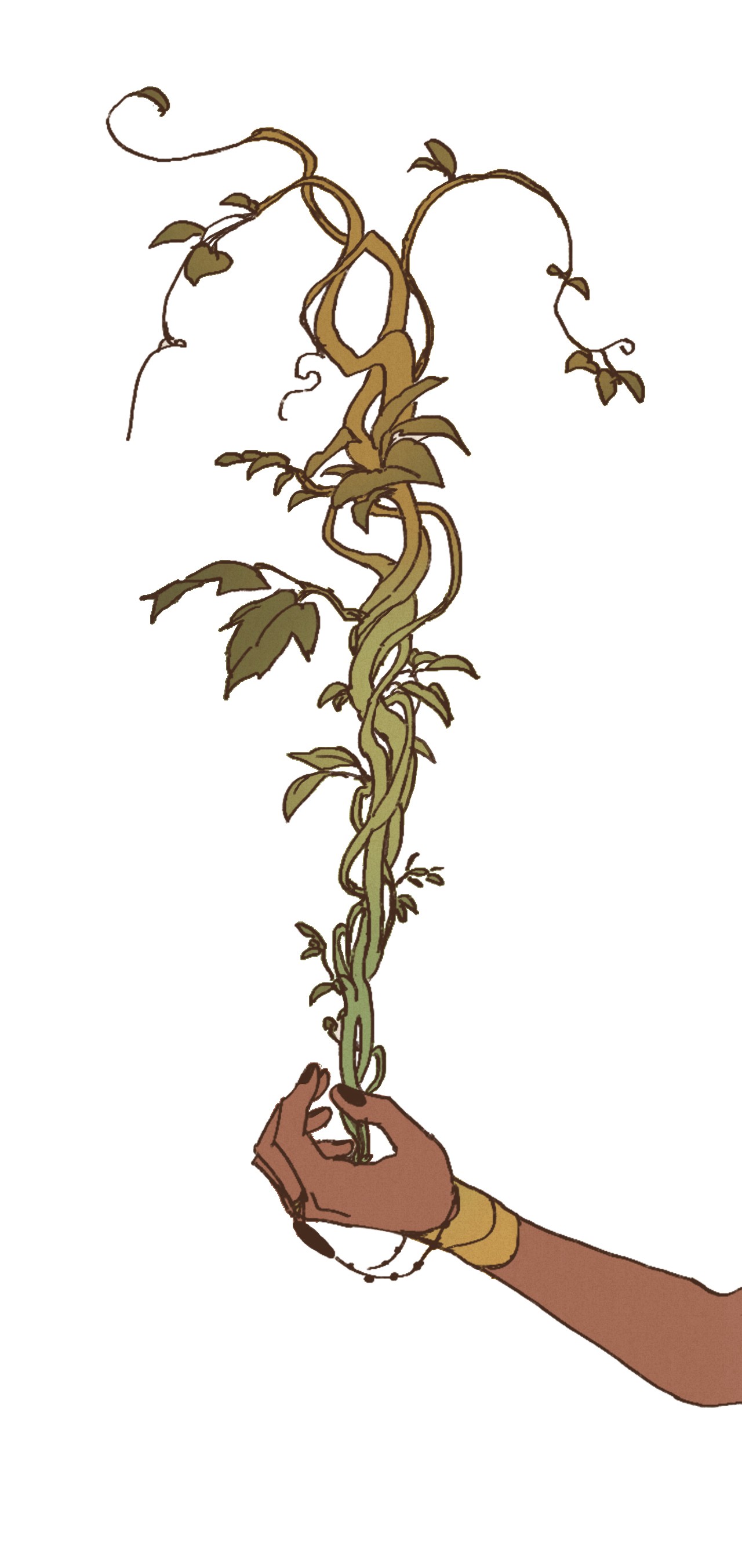 九柱神22 激烈赛场