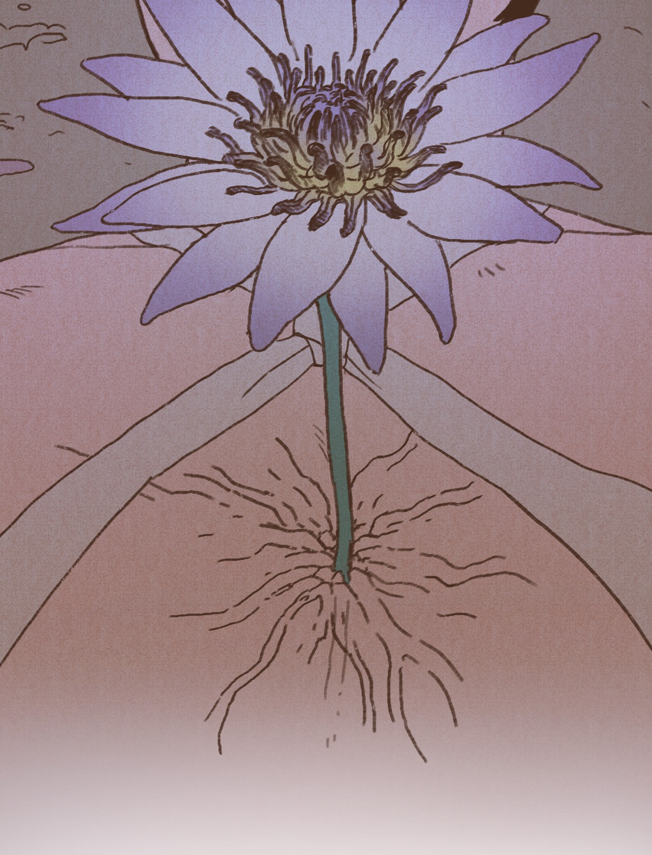 九柱神38 完全被算计