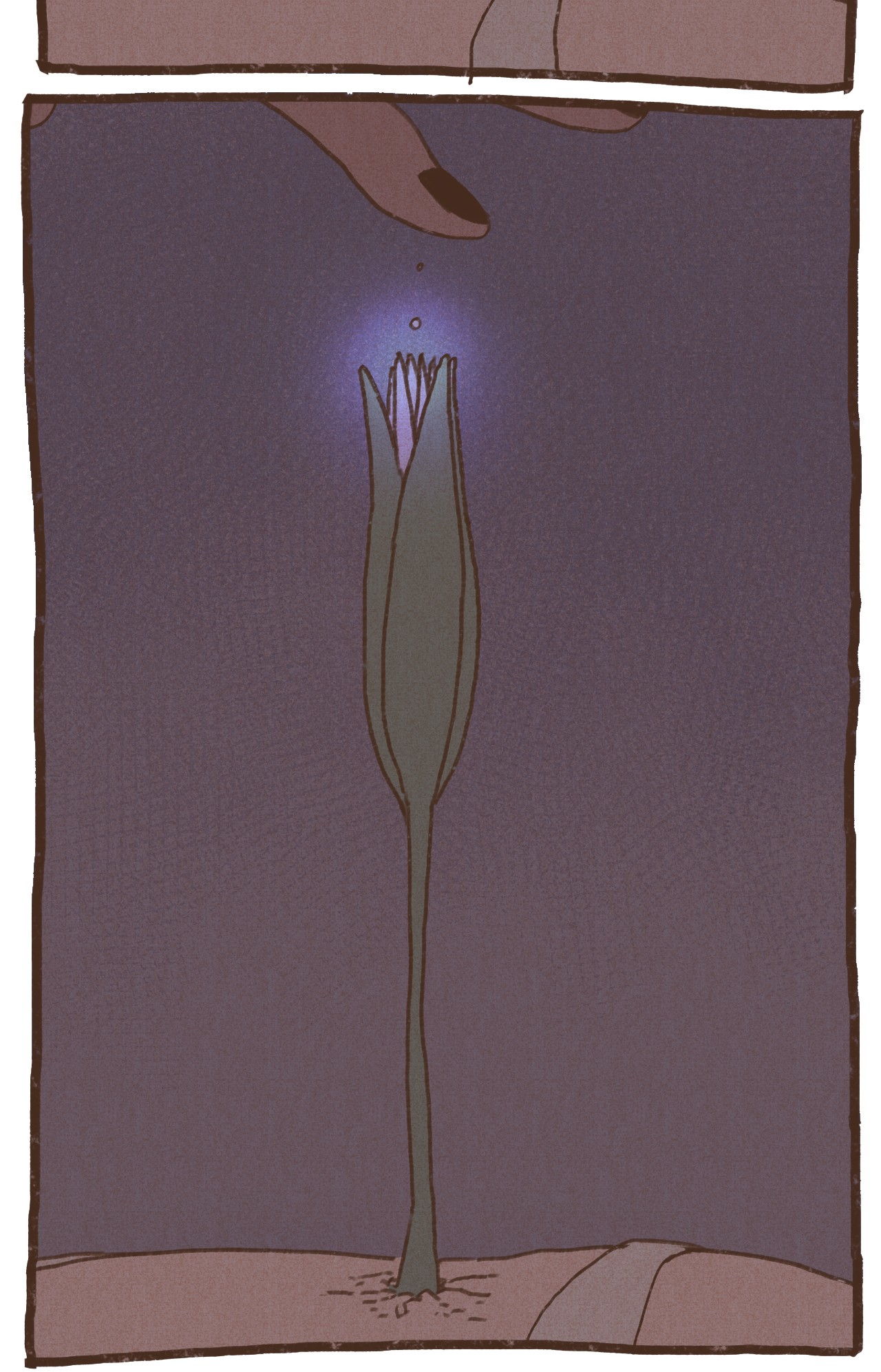 九柱神38 完全被算计