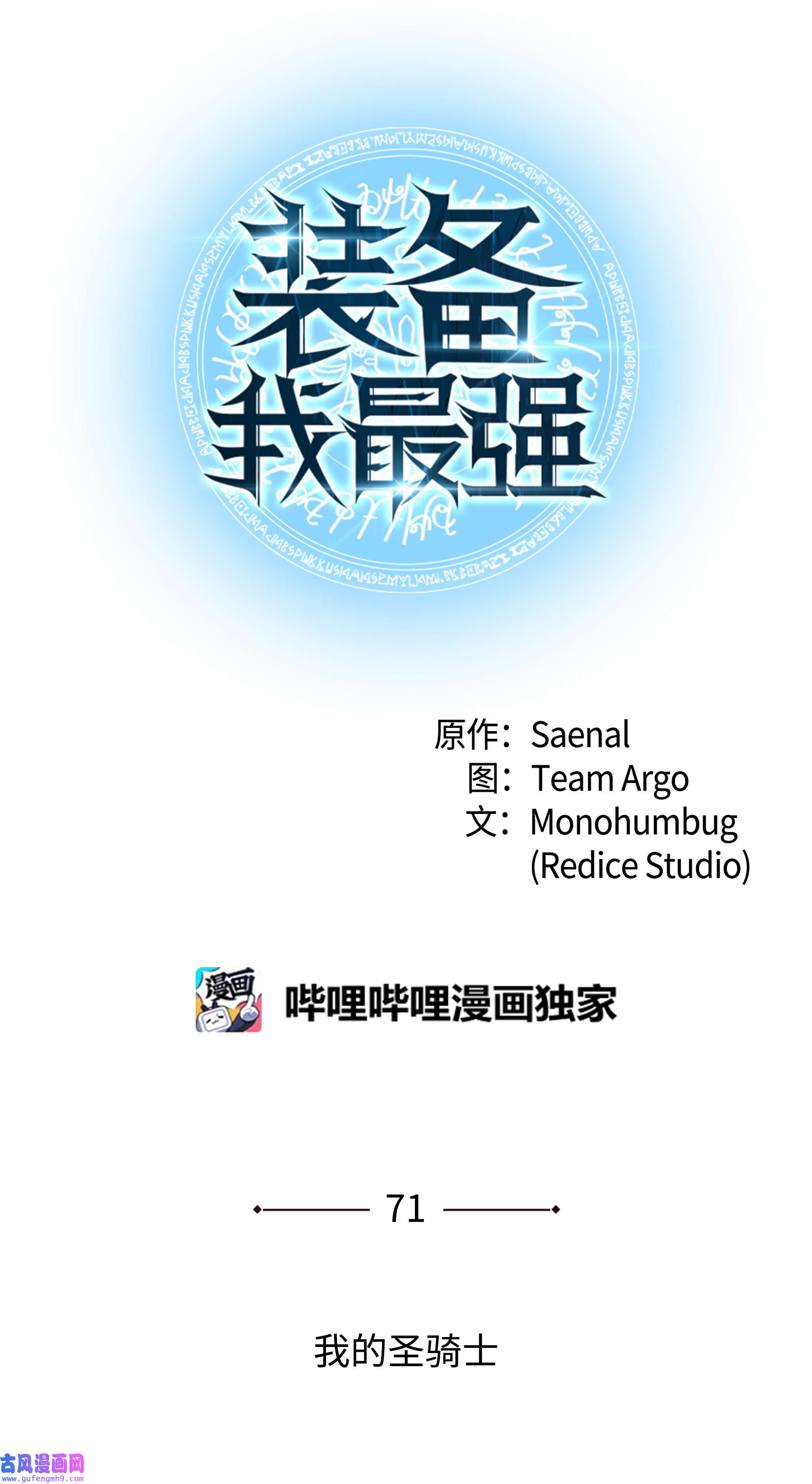 装备我最强071 我的圣骑士