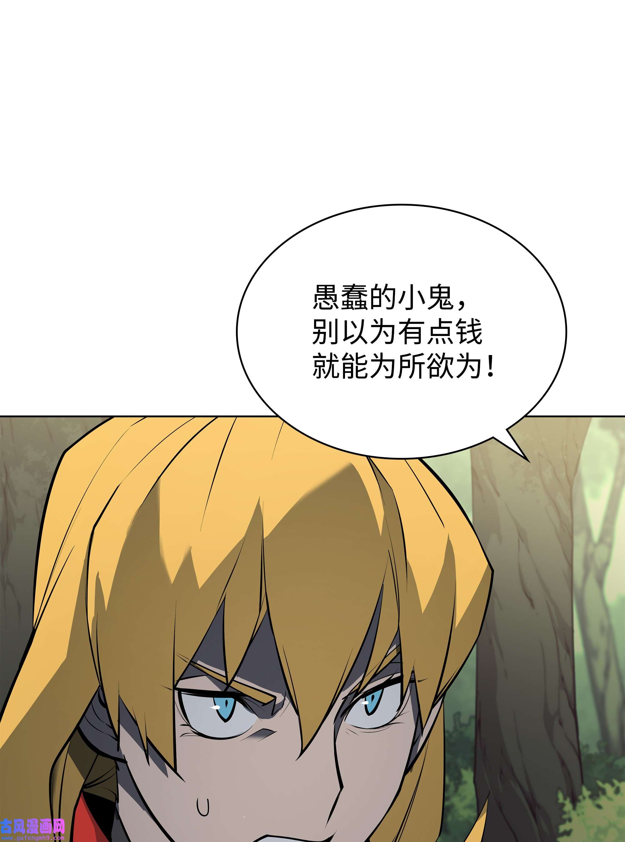 装备我最强071 我的圣骑士