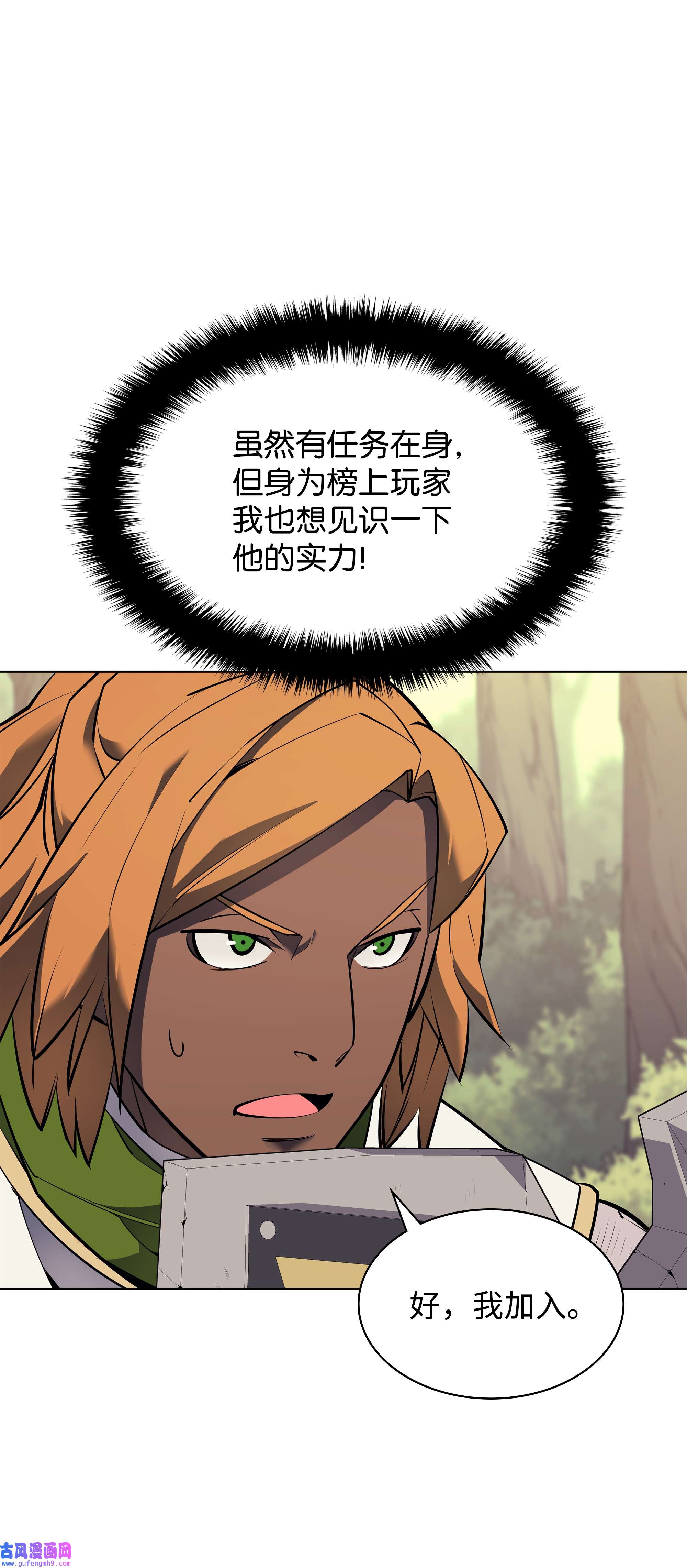 装备我最强071 我的圣骑士
