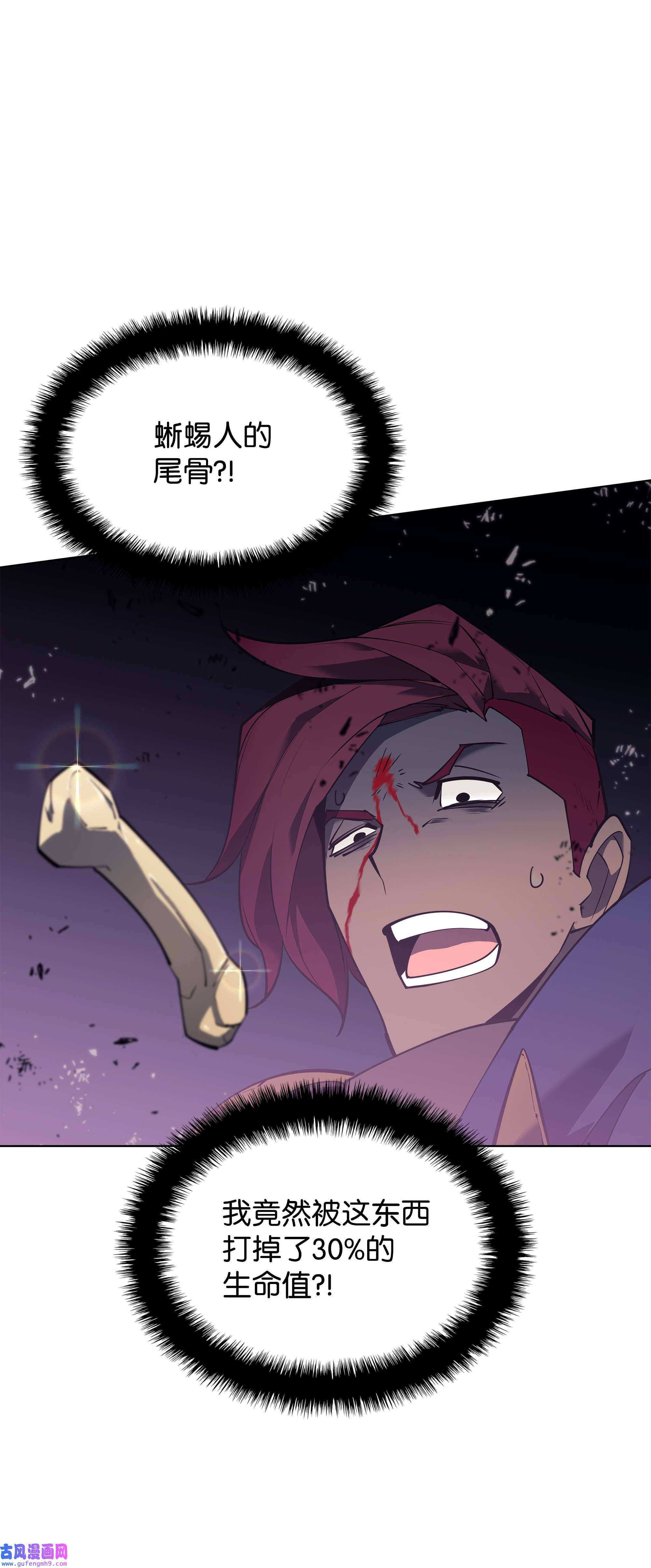 装备我最强110 盗贼的归来