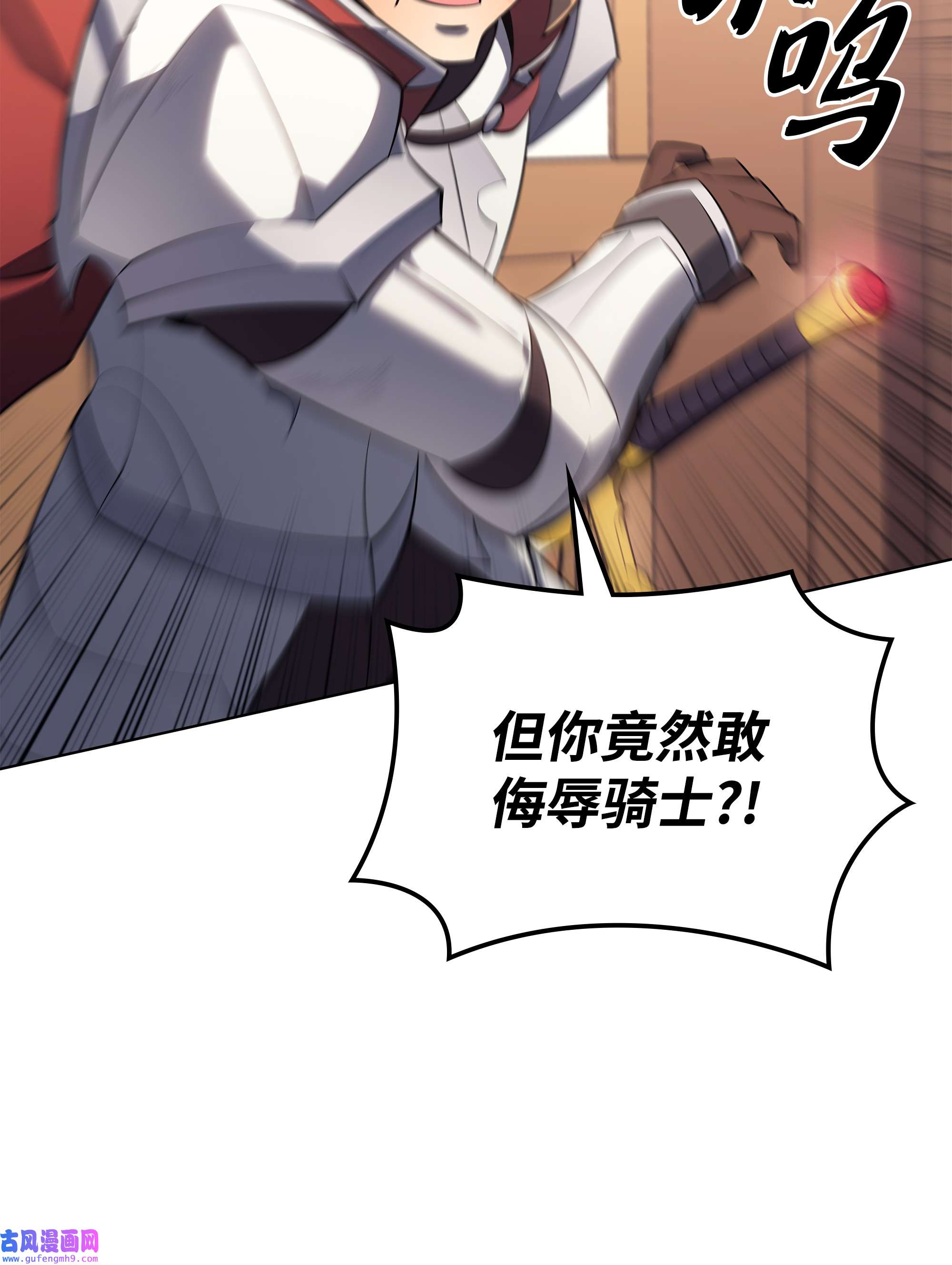 装备我最强110 盗贼的归来