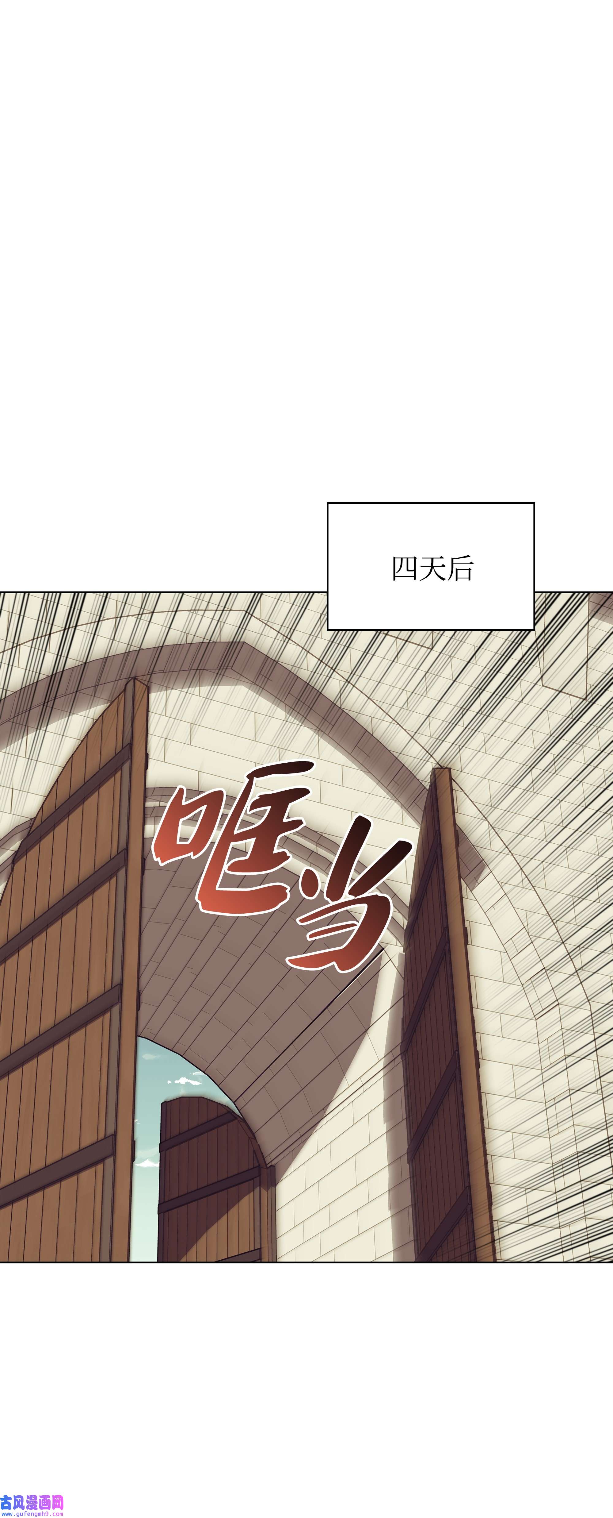 装备我最强113 幼狮们