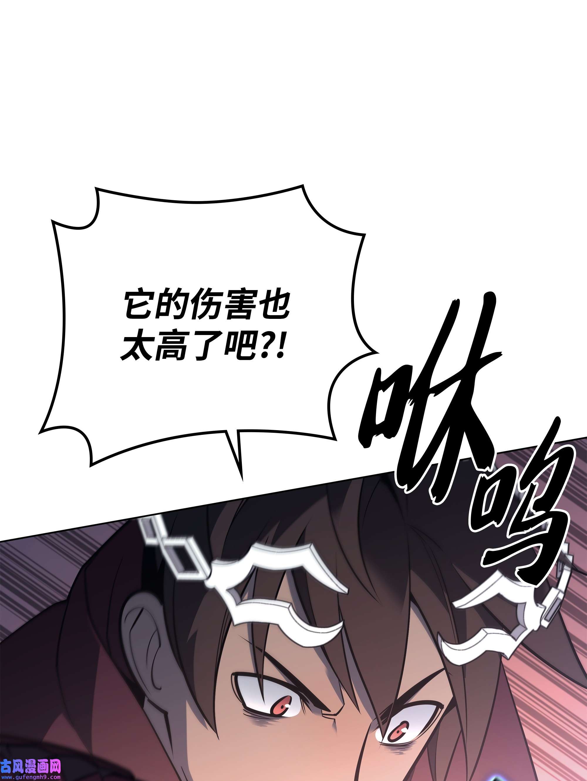 装备我最强113 幼狮们