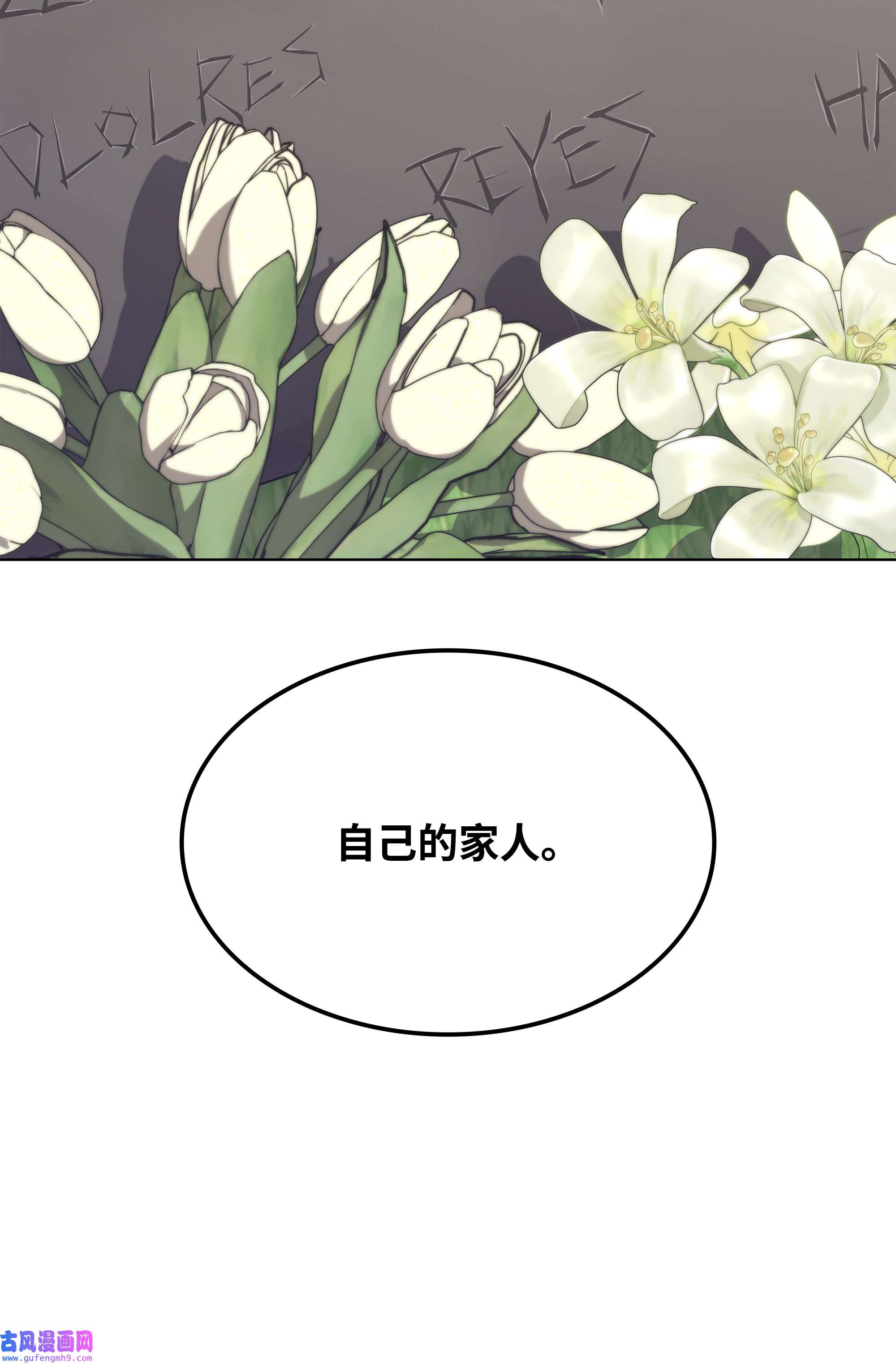 装备我最强114 门外的礼炮