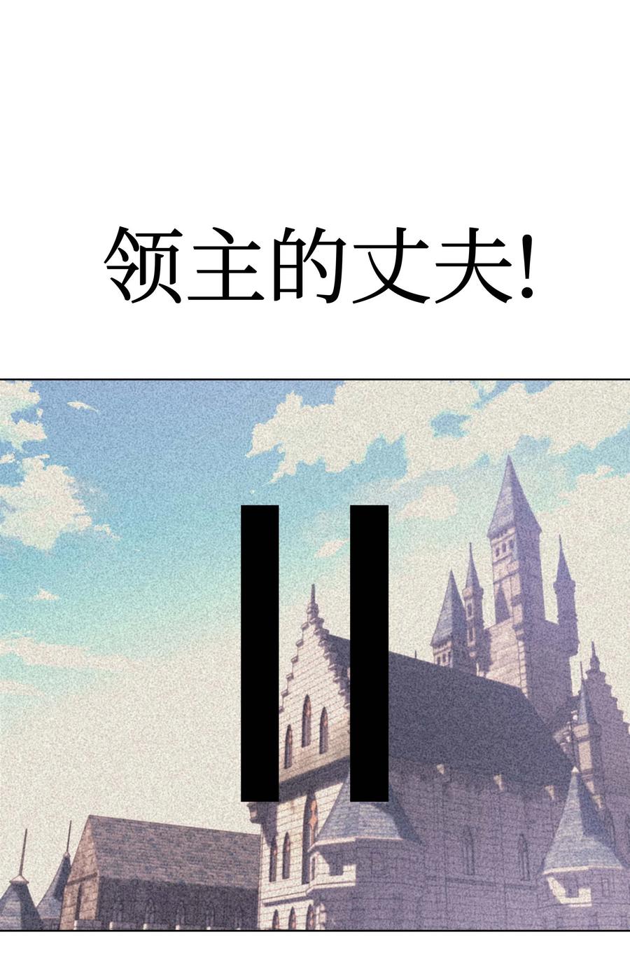 装备我最强050 护卫领主